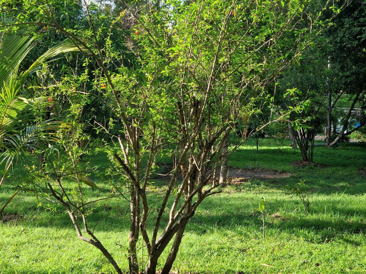 Sigiriya Cottage ภายนอก รูปภาพ
