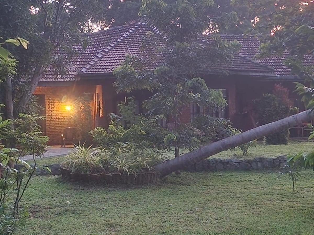 Sigiriya Cottage ภายนอก รูปภาพ