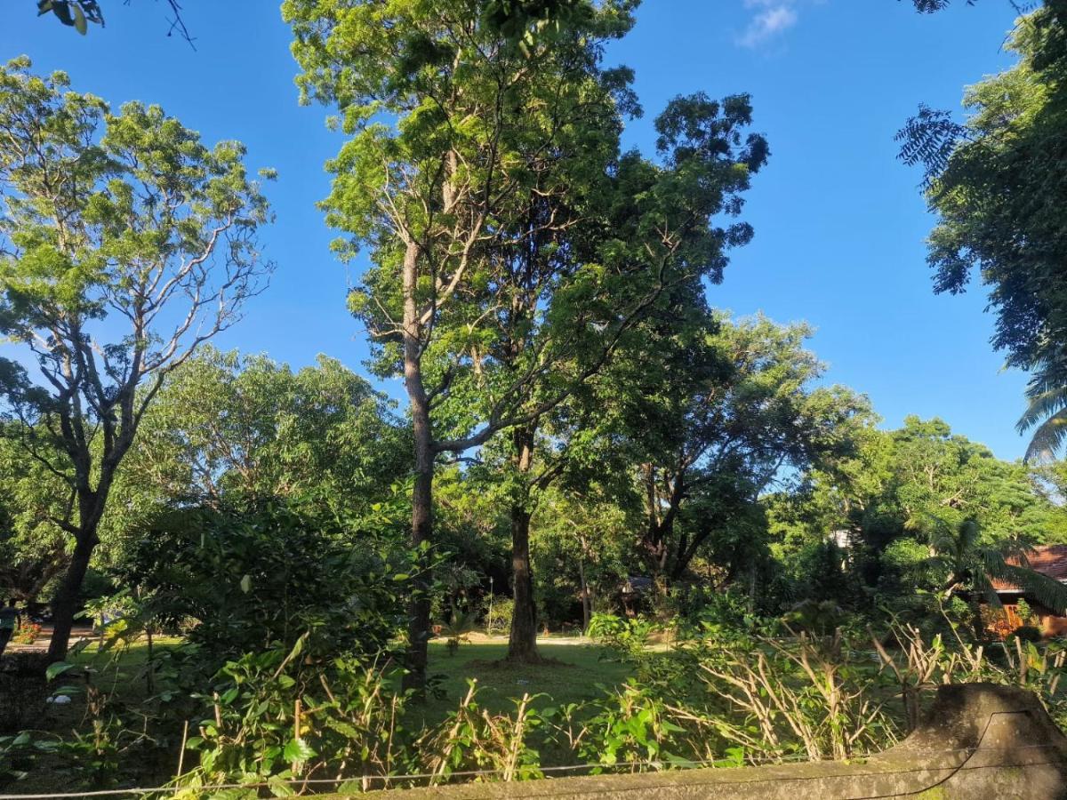 Sigiriya Cottage ภายนอก รูปภาพ