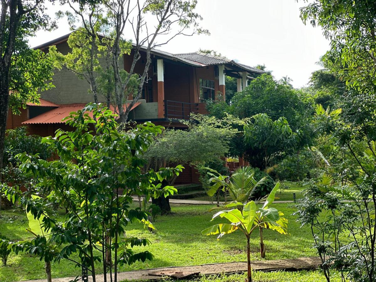 Sigiriya Cottage ภายนอก รูปภาพ
