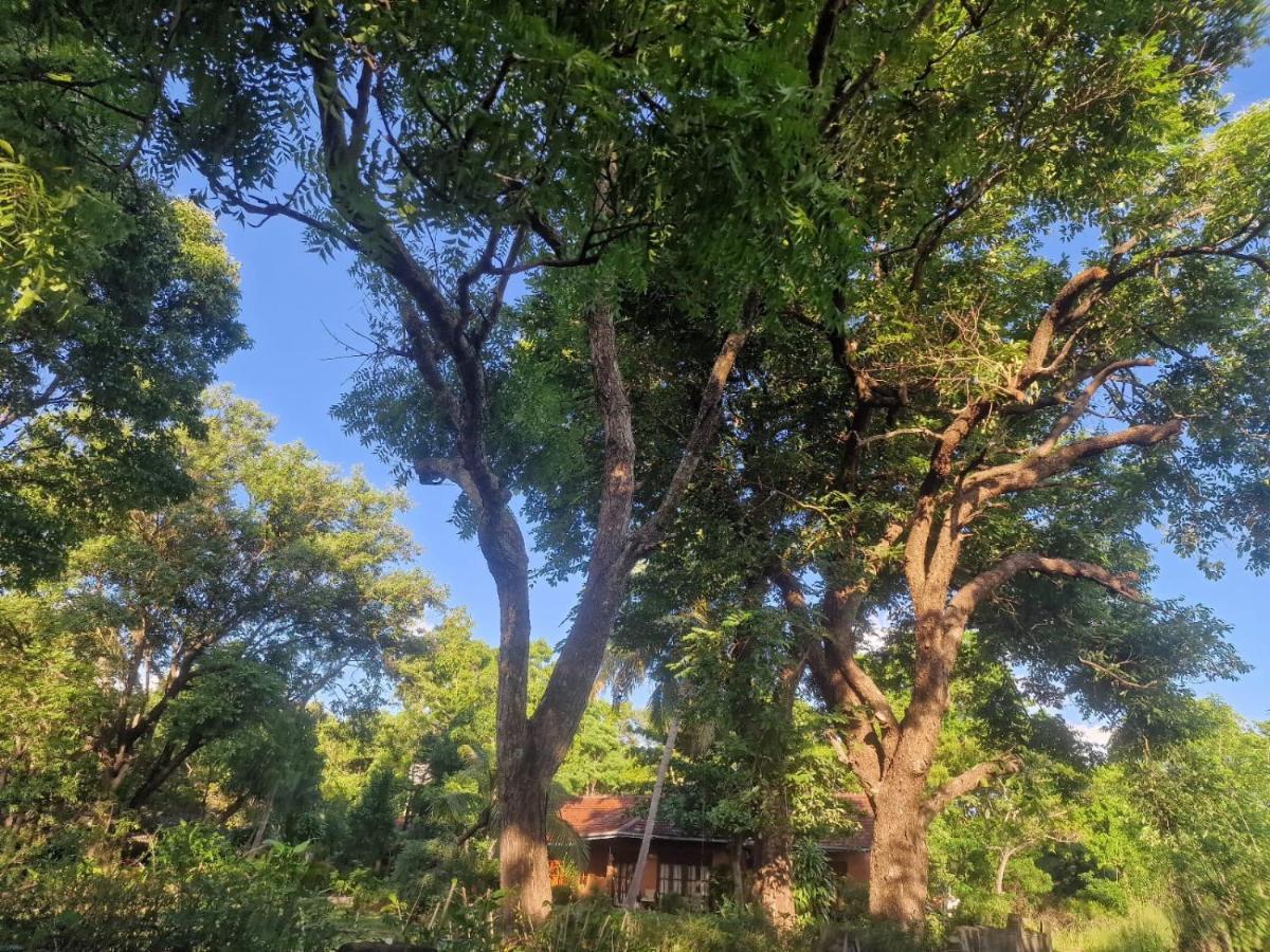 Sigiriya Cottage ภายนอก รูปภาพ