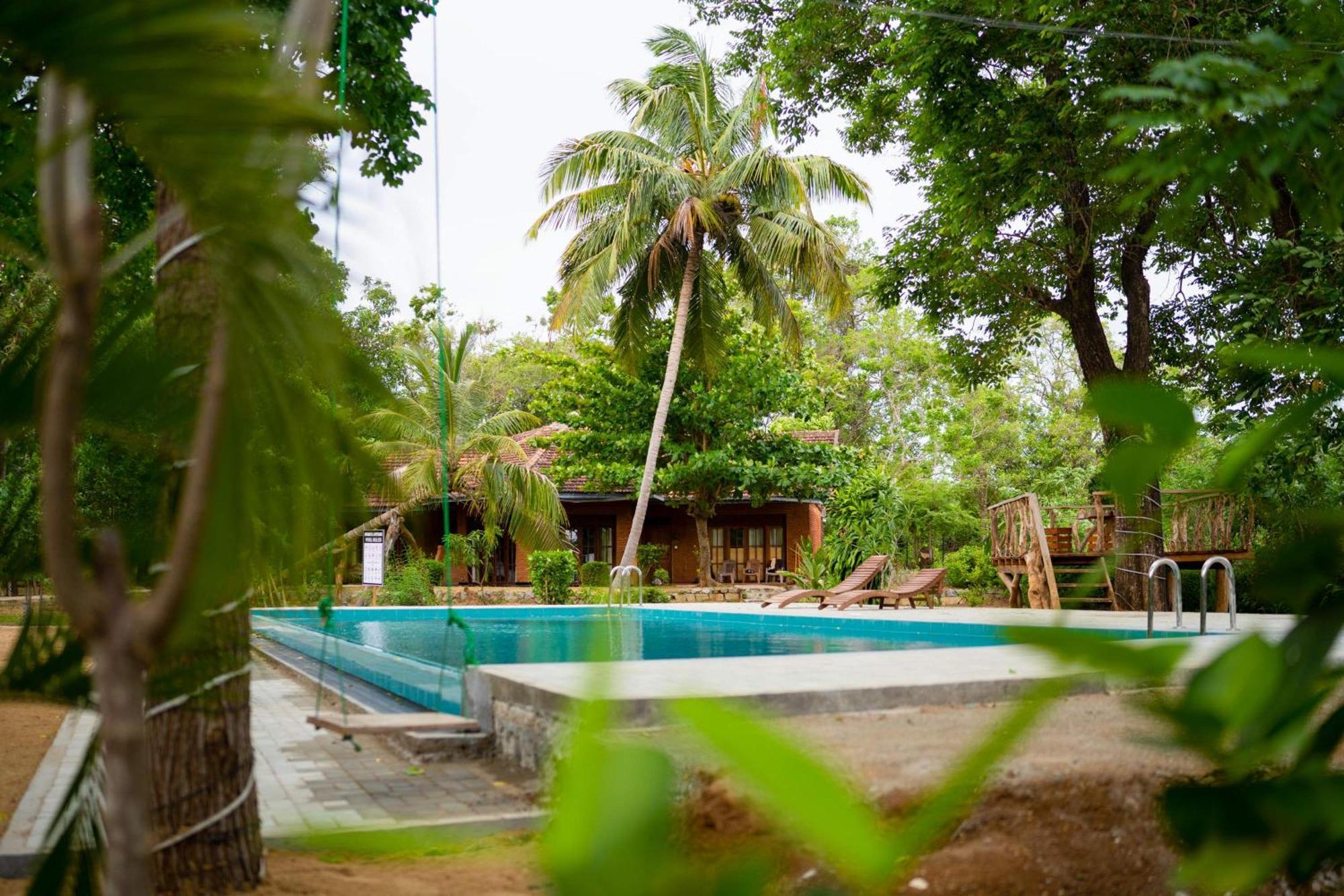 Sigiriya Cottage ภายนอก รูปภาพ